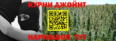 прущие грибы Ярославль