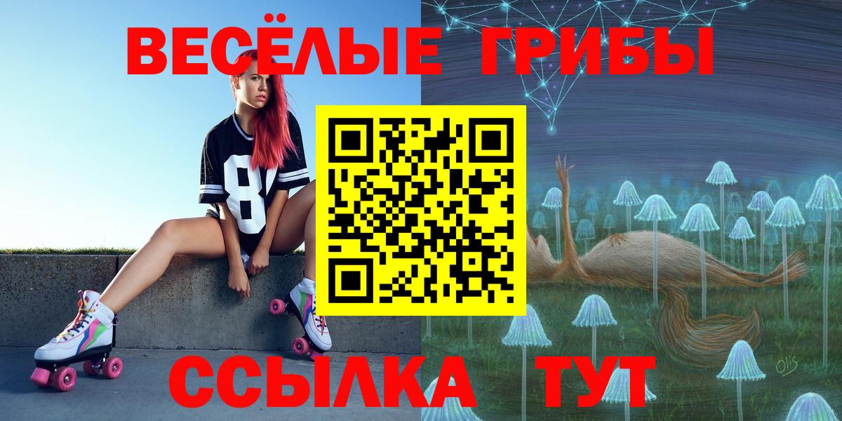 Псилоцибиновые грибы GOLDEN TEACHER  Псилоцибиновые грибы Psilocybe  Астрахань  Вход с VPN 